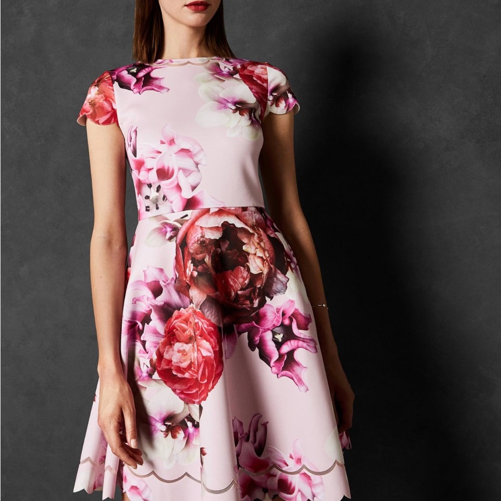 Ted Baker Splendor Pink Skater Dress